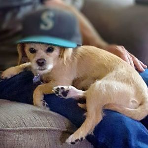 Meet your Posher, James